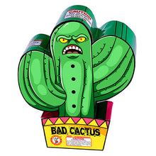 Load image into Gallery viewer, Bad Cactus