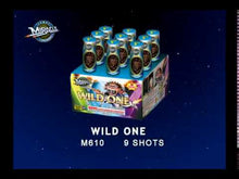 Load and play video in Gallery viewer, Wild One