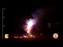 Load and play video in Gallery viewer, 180 Degree