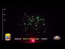 Load and play video in Gallery viewer, Pretty Little Flyers