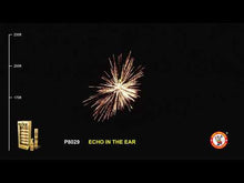 Load and play video in Gallery viewer, Echo In The Ear