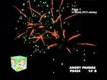 Load and play video in Gallery viewer, Angry Pandas
