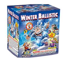 Load image into Gallery viewer, Winter Ballistic