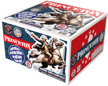 Load image into Gallery viewer, BattleofPrinceton
