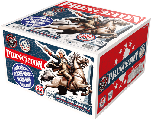 BattleofPrinceton