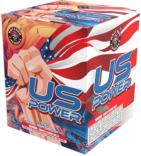 US Power