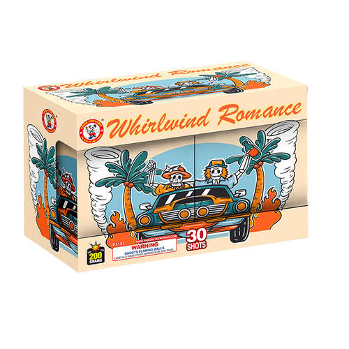 Whirlwind Romance