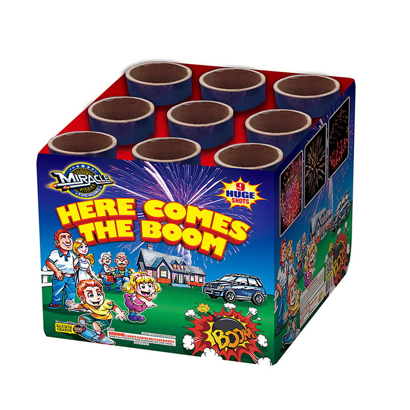 Here Comes The Boom