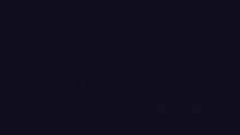 Load and play video in Gallery viewer, RacoonPlatoon

