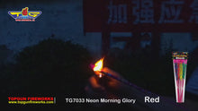 Load and play video in Gallery viewer, Neon Morning Glory

