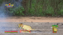 Load and play video in Gallery viewer, Poopy Doogal
