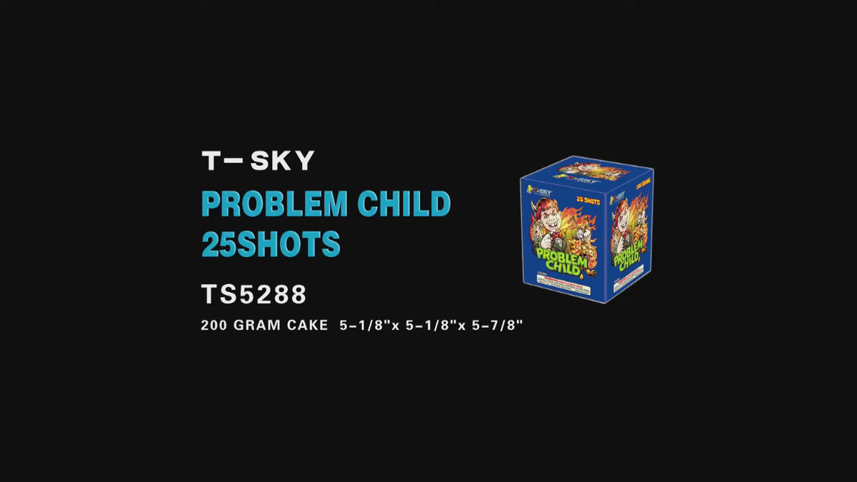Problem Child | Topeka & Kansas City Cheapest Fireworks Near Me – Cindy ...