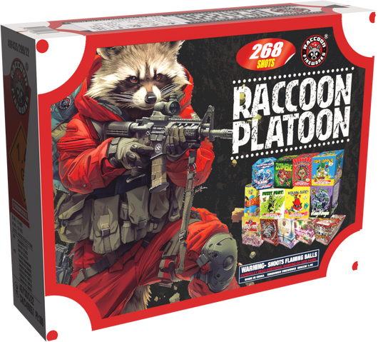 RacoonPlatoon