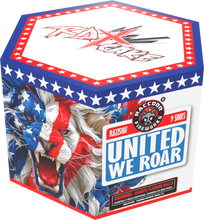 Load and play video in Gallery viewer, United We Rar
