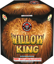 Load and play video in Gallery viewer, WillowKing
