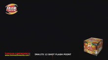 Load and play video in Gallery viewer, Flash Point
