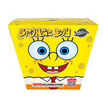 Load and play video in Gallery viewer, Sponge Boy

