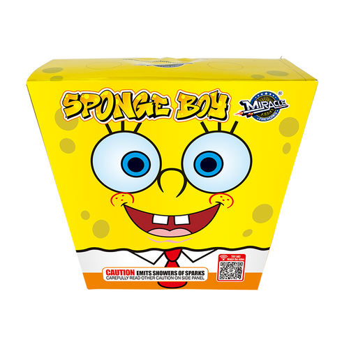 Sponge Boy