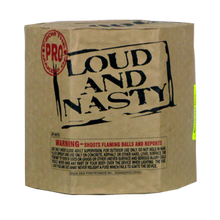 Load image into Gallery viewer, Loud And Nasty
