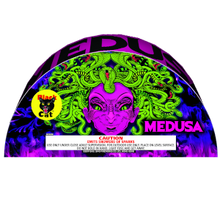 Load image into Gallery viewer, Medusa
