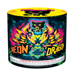 Neon Dragon