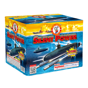 Silent Power