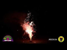 Load and play video in Gallery viewer, Medusa
