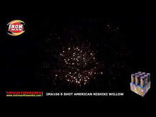 Load and play video in Gallery viewer, American Nishiki Willow
