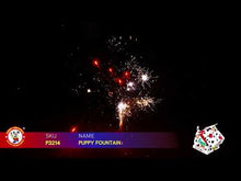 Load and play video in Gallery viewer, Puppy
