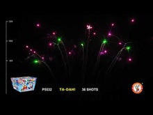 Load and play video in Gallery viewer, Ta Dah
