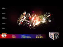 Load and play video in Gallery viewer, Spider Nebula
