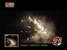 Load and play video in Gallery viewer, Panic
